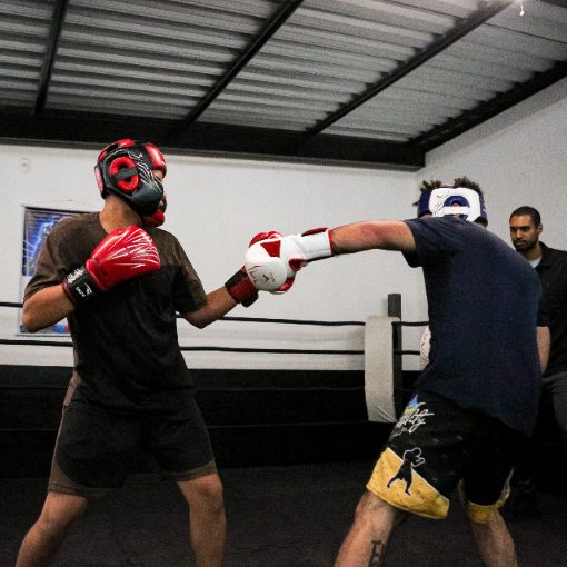 Event cover SPARRING BOXE