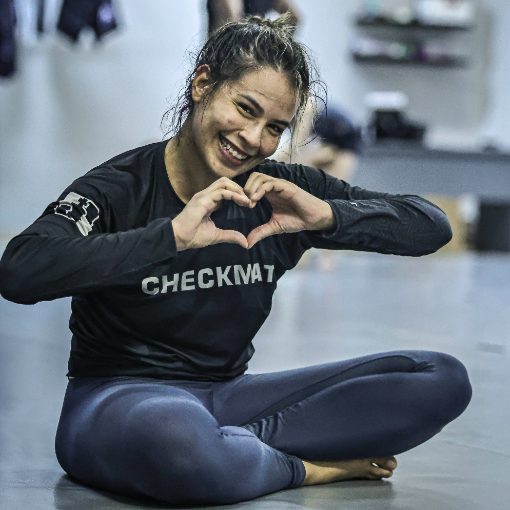 Event cover Treino Luta Livre - Checkmat