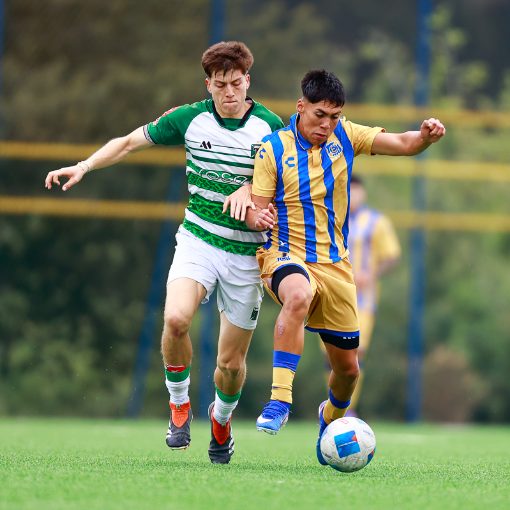 Copertura dell'evento F�tbol Joven: Everton vs Deportes Temuco Sub 18-20