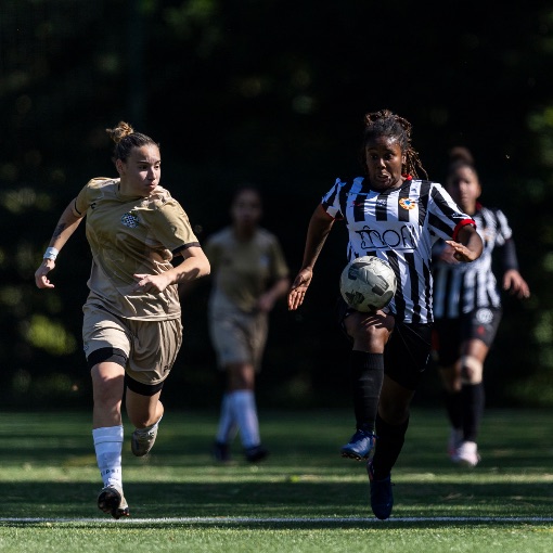 Capa do evento Boavista x Povoa de Varzim - Senior Feminino