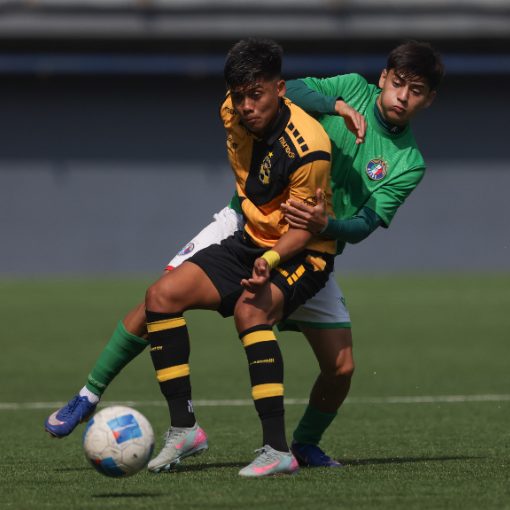 Event cover Audax Italiano vs Coquimbo Unido (Sub18-Sub20)