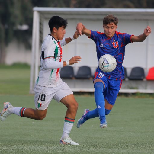 Event cover Palestino vs U de Chile (Sub15-Sub16)