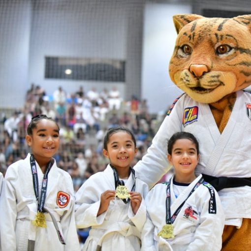 Event cover FESTIVAL CENTRAL 2026