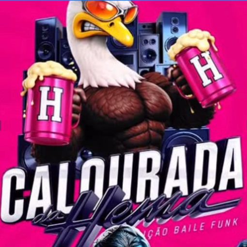 Copertura dell'evento CALOURADA DA HEMA - BAILE FUNK