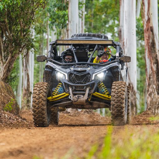 Event cover 16� Trilha Ecologica Presidente Getulio