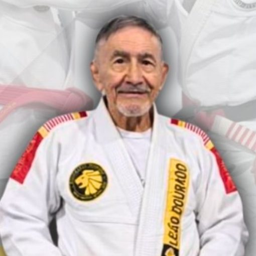 Event cover SEMIN�RIO T�CNICO DE JIU-JITSU TRADICIONAL - LE�O DOURADO