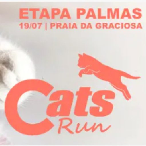 Event cover CATS RUN TO 2026