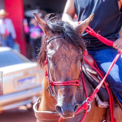 Event cover 1� CAVALGADA RANCHO BLACKTONE 