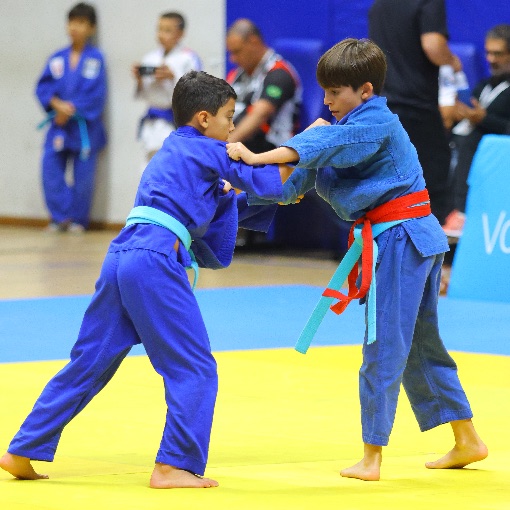 Event cover CAMPEONATO MINEIRO DE JUD�