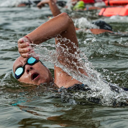 Capa do evento Cardume Nit