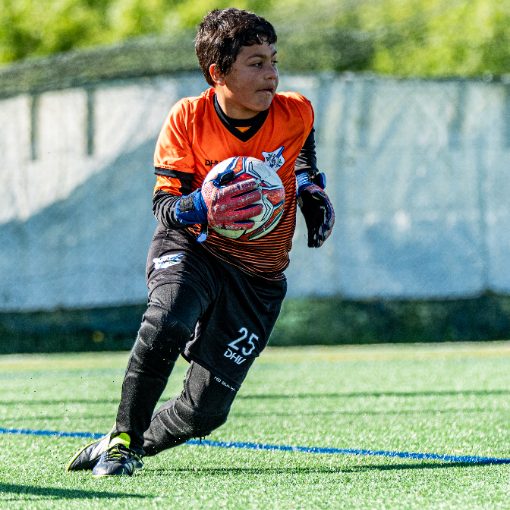 Event cover ADQC . Pelezinhos