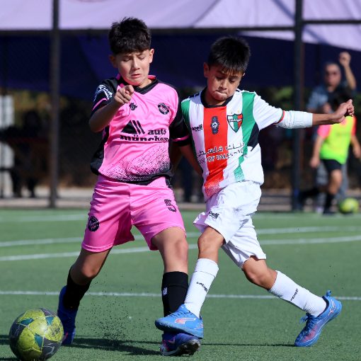 Event cover Santiago City vs Palestino (Sub11-Sub12)