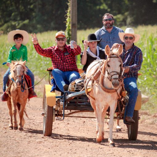 Event cover 17� Cavalgada Jo�o Maria de Fran�a