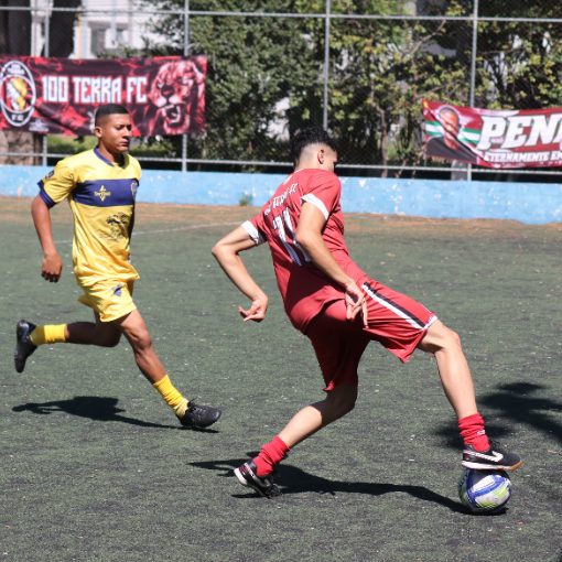Event cover 100 TERRA