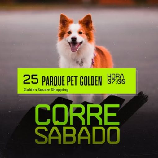 Event cover CORRE PET GOLDEN - ABC RUN CLUBE 25.04