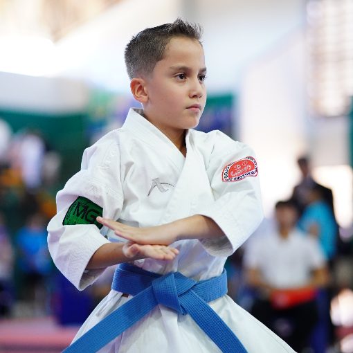 Event cover Estadual de Karat� - 1� Etapa