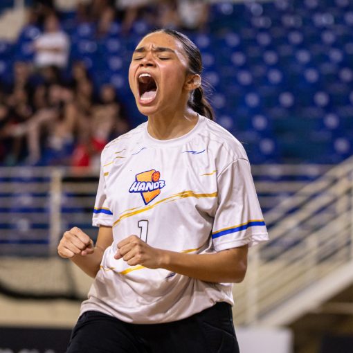 Event cover Campeonato Brasileiro Juvenil Sudeste - (FEMININO)