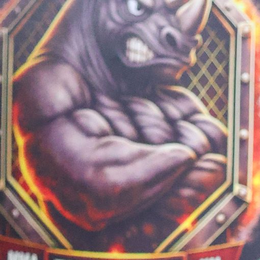 Copertura dell'evento GRADUA��O BLINDADOS MUAY THAI