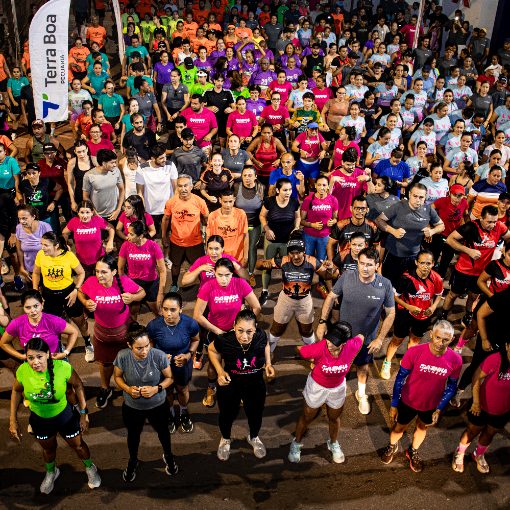 Event cover Terra Boa em Movimento