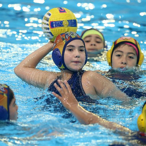 Event cover WP Festival sub-10 y sub-12 Mixto