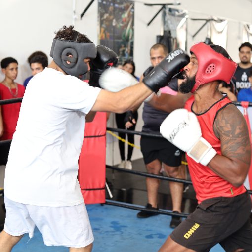 Event cover Festival de boxe Golden Box Gym