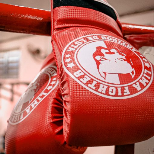 Event cover JABUKA FIGHT AMADOR - DBF 25/04/2026