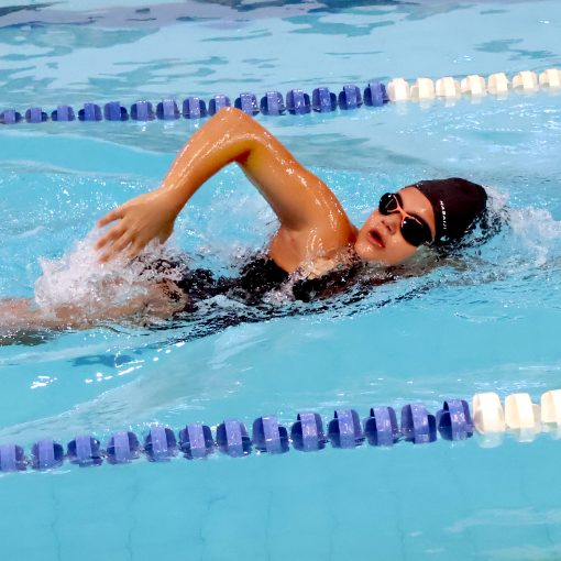 Event cover Festival Nata��o Poli Esportivo de Franca