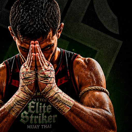 Capa do evento Gradua��o Elite Striker - Palho�a