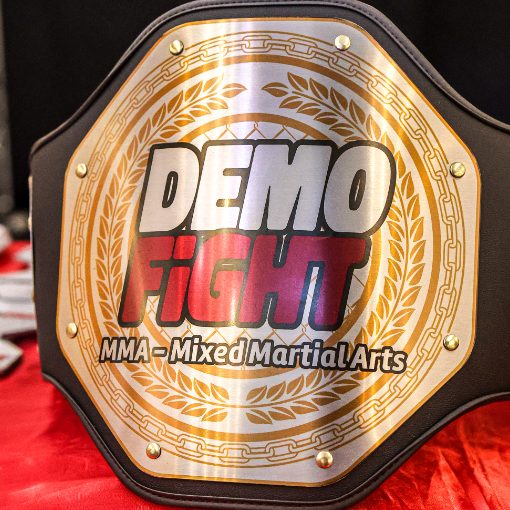 Copertura dell'evento DEMOFIGHT 25