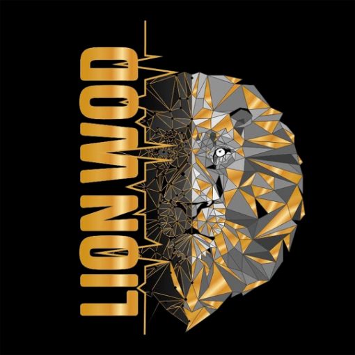 Event cover Lion - Competencia hyrox
