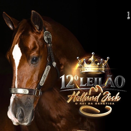 Event cover 12� Leil�o - Holland Jeck - Parque Milanny 