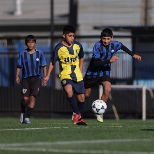 Capa do evento Huachipato vs U de Concepci�n (Sub10-Sub11-Sub12)