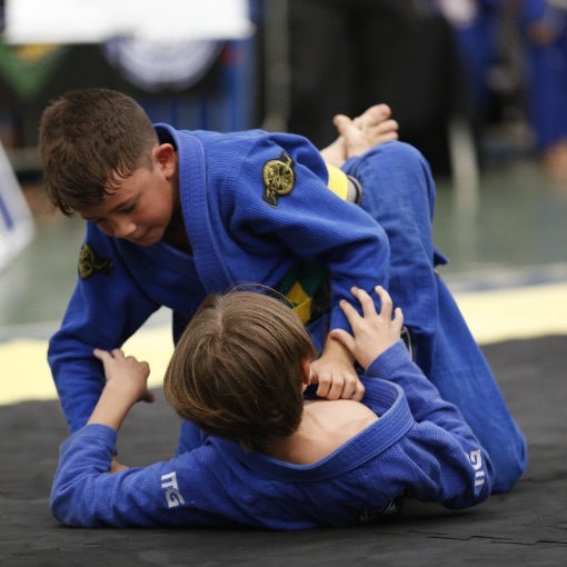 Event cover 1� FESTIVAL KIDS DE JIU-JITSU LBJIU-JITSU