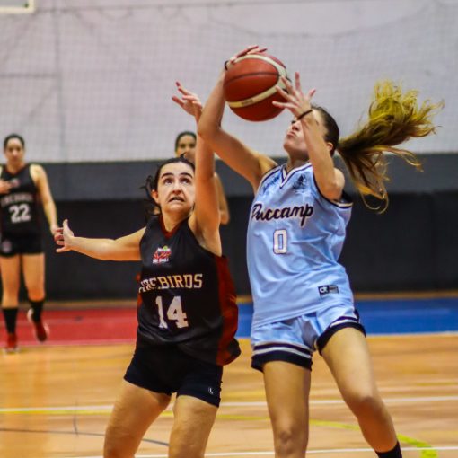 Capa do evento NDU Basquete Feminino (C) - 3 partidas - 16/05/2026