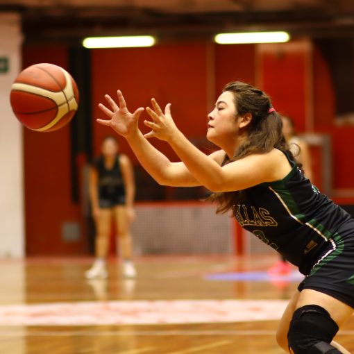 Capa do evento NDU Basquete Feminino (B) - 3 partidas - 17/05/2026