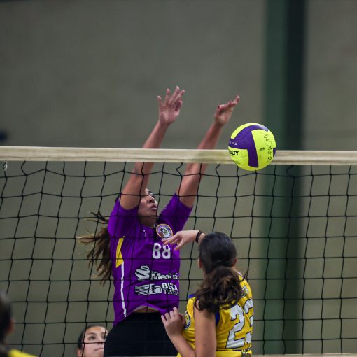 Event cover NDU Voleibol Feminino (D) - 1 partidas - 13/05/2026