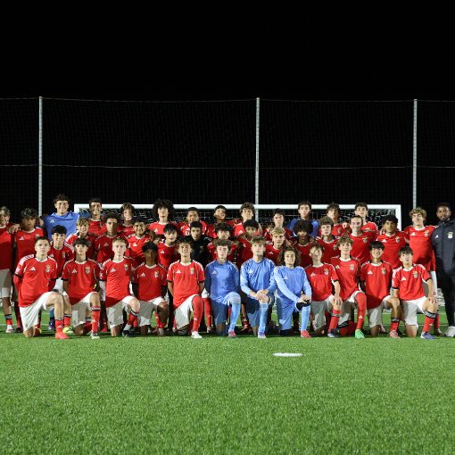 Event cover FC Benfica vs Amora FC 