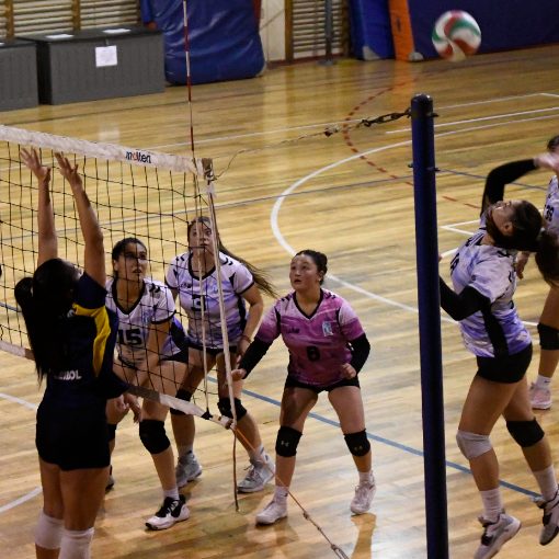 Capa do evento UV vs UPLA Campeonato FENAUDE Zona Costa Voleyball Mujer