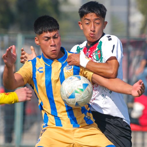 Event cover Palestino vs Everton (Sub18-Sub20)