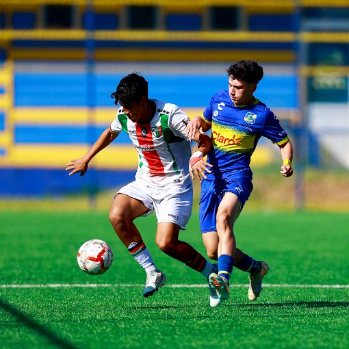Event cover F�tbol Joven: Everton vs Palestino Sub 15-16