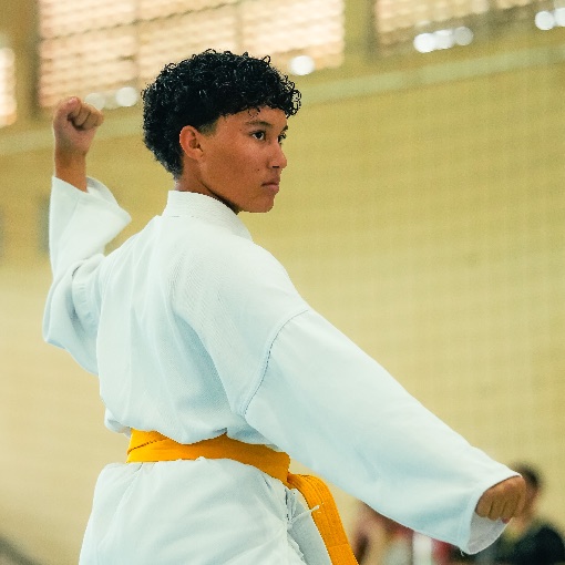 Copertura dell'evento CIRCUITO ESTADUAL DE KARAT� 