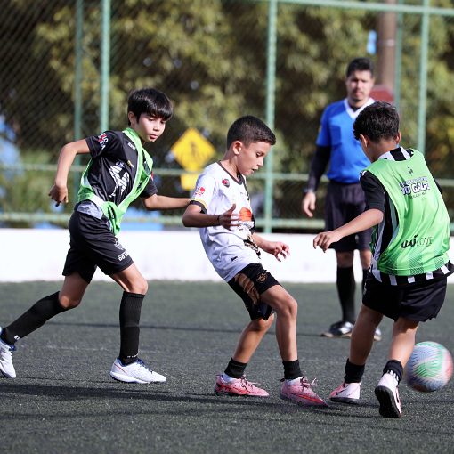 Event cover JOGO AMISTOSO - ACADEMIA DO GALO UDI X BUIU FUNCIONAL (SUB 09)