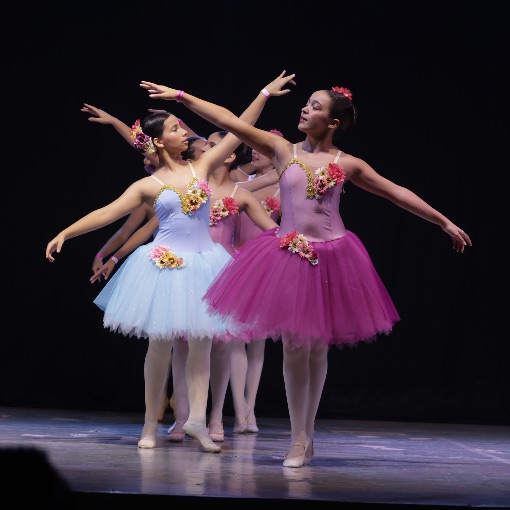 Copertura dell'evento FOTOS E V�DEOS DO FESTIVAL UNIDANCE 2026 - S�BADO 23/05