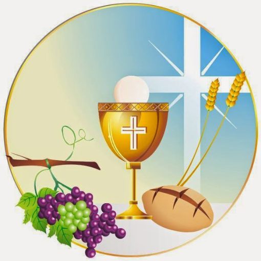 Portada del evento PRIMEIRA EUCARISTIA - IGREJA NOSSA SENHORA APARECIDA