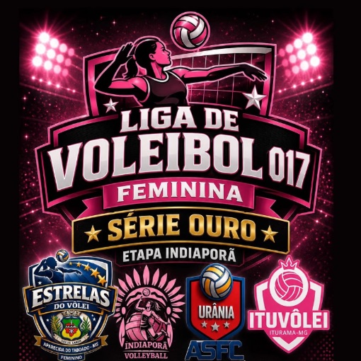 Event cover Liga Vôlei 017