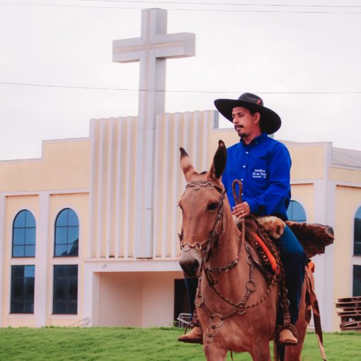 Couverture de l'�v�nement Cavalgada da Yolanda