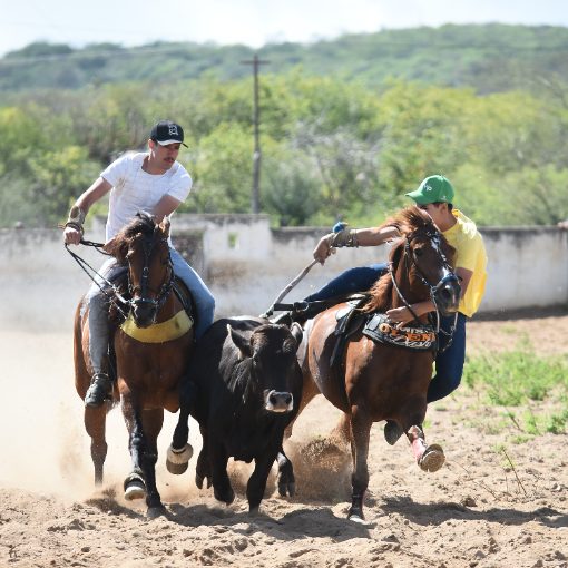 Portada del evento BOLÃO DE VAQUEJADA PARQUE SERRA DA ONÇA