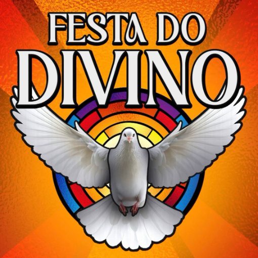 Event cover 209ª FESTA DO DIVINO ES 