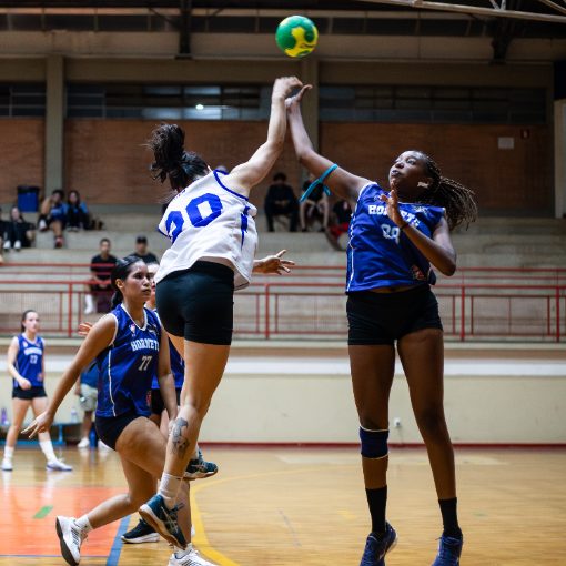 Portada del evento 2� Educa x 3� Educa - Handebol - JUC NBA All Star - Ceuclar