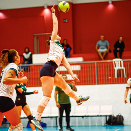 Event cover NDU Voleibol Feminino (A, B, C, D) - 4 partidas - 31/05/2026